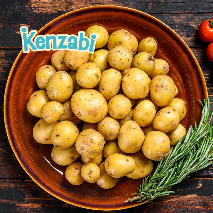 Khoai tây trong giai đoạn ăn dặm: Lợi ích tuyệt vời cho sức khỏe và những lưu ý mẹ không nên bỏ qua